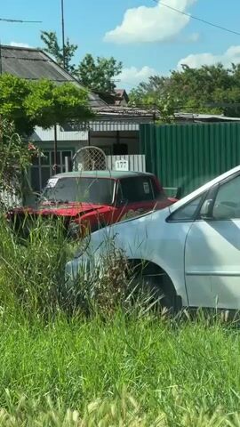 A video captures a red car resembling Lightning McQueen from "Cars," parked in tall grass near a building with the number "177" on it. The camera then moves to show a light blue car being transported on a flatbed truck. The light blue car has an open door and appears to be missing a front bumper. The surrounding area is green with trees and vegetation under a bright sky.