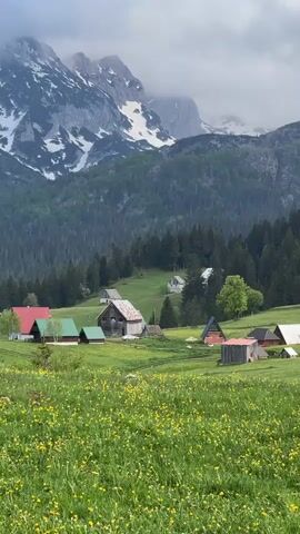 The video shows a landscape of a village or small community situated in a mountainous area. In the foreground, there is a grassy field with numerous yellow wildflowers. Several wooden cabins or houses are scattered across the meadow, some with red or green roofs, others appearing older and weathered. Behind the buildings, a dense evergreen forest covers the lower slopes of the mountain range. The mountains rise steeply in the background, their peaks partially obscured by low-hanging clouds or mist. Patches of snow are visible on the higher elevations of the mountains. The sky is overcast, creating a muted and slightly moody atmosphere. There are no people visible in the video.