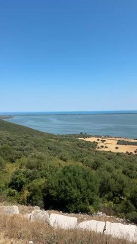 A panoramic view of a wide body of water, likely a lake or sea, stretches across the horizon under a clear blue sky. In the foreground, a green, rolling hillside is covered with dense vegetation, primarily trees and shrubs, with some patches of dry, golden fields visible further down. At the very bottom of the frame, large, weathered rocks and dry grass suggest a rougher terrain. The overall impression is a serene, natural landscape bathed in sunlight.