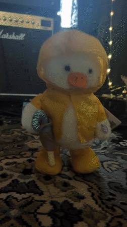 Duck toy in raincoat filmed in Cape Coral