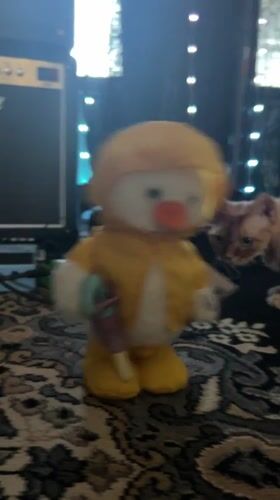 Duck toy in raincoat filmed in Cape Coral