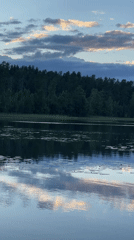 Lakeside dusk with a dachshund on the shore