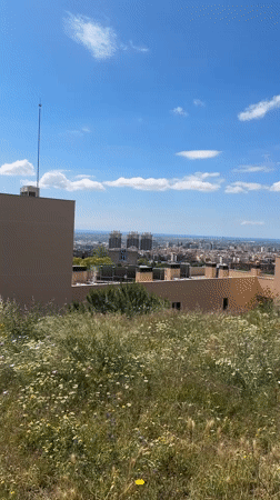 Morning moments captured across Esplugues De Llobregat cityscape