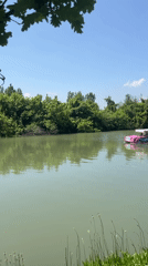 Morning leisure activities documented along Krasnodar's waterfront parks