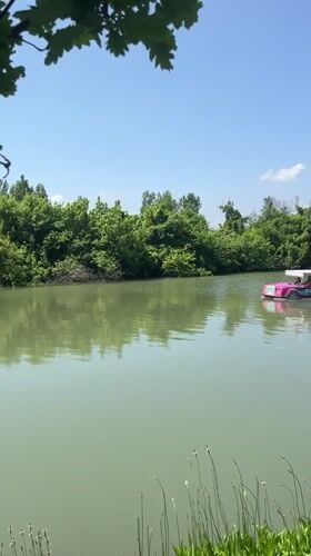 Morning leisure activities documented along Krasnodar's waterfront parks