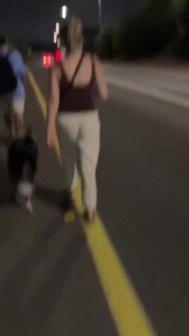 Three people and a dog walk along a paved path at night. The person in front is wearing a pink shirt and shorts, and the dog, a black and white collie mix, is on a leash. Behind them is a person in a blue shirt and white shorts carrying a backpack. The third person, in a maroon tank top and white pants, walks behind the dog and the person in blue. The path is bordered by a yellow line and trees. Streetlights illuminate the scene, and car taillights are visible in the distance.