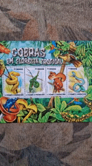 Collector examines tropical wildlife stamps from São Tomé e Príncipe