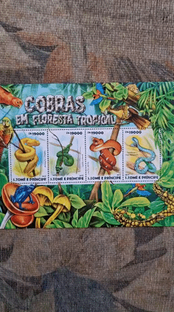 Collector examines tropical wildlife stamps from São Tomé e Príncipe