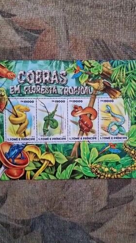Collector examines tropical wildlife stamps from São Tomé e Príncipe