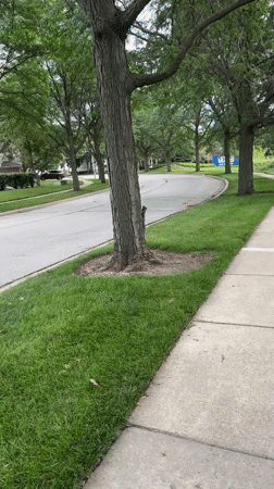 Schaumburg, United States of America