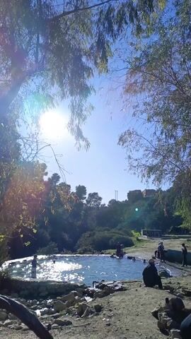 The video depicts a natural outdoor scene on a sunny day. In the foreground, there's a small body of water with people in it, reflecting the sunlight. A tree with leaves frames the scene, partially obscuring the view. The camera pans up to reveal a hillside covered in vegetation, including trees and shrubs. The sky is clear and blue, providing a bright backdrop to the landscape.