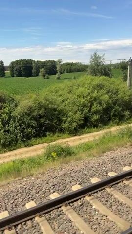 A view from a moving train shows a rural landscape under a blue sky with some clouds. The train tracks are in the foreground. Beyond the tracks, there is a gravel path and green grass, followed by a line of trees and bushes. Further in the background, a large field of green crops is visible, with more trees and vegetation on the horizon. The sun is shining, casting light and shadows on the scene.