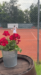 Afternoon tennis at TC Neubiberg, clay courts and garden details
