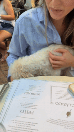 Friends dine with dog at Tel Aviv restaurant