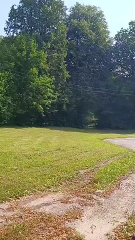 This is a video compilation of four short clips. The first clip shows a grassy area with a dirt path leading to a paved area. Trees line the background. The second clip shows a paved area with trees and grass in the background. The third clip shows a paved road curving into a grassy area with trees. The fourth clip shows a grassy field with trees in the background. The overall scene appears to be a rural or suburban outdoor setting on a sunny day.