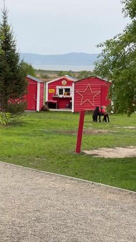 A young child wearing a green vest and grey pants walks on a gravel path toward a grassy field. In the field are several small, red buildings. The middle one, a food stand, is labelled "Még." To the right of the food stand is a red wooden structure with a large white star on its face. A person is standing in front of a black pony next to the structure. In the background is a body of water with a city on the distant shore.