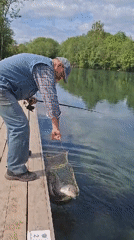 Morning fishing and nature scenes documented at Kipen lake