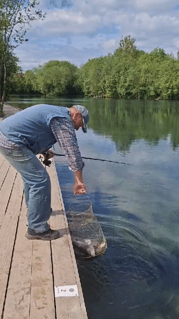 Morning fishing and nature scenes documented at Kipen lake