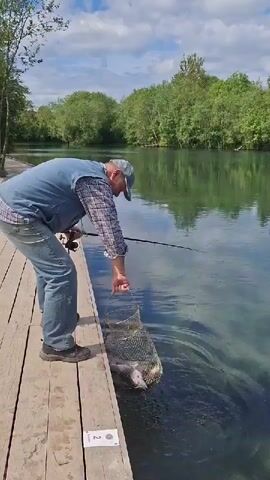 The video captures a man fishing on a bright, partly cloudy day in Kipen, Russia. He is standing on a wooden dock next to a clear, calm body of water, possibly a lake or pond. The man wears a plaid shirt, a blue denim vest, blue jeans, and a baseball cap.

He is seen holding a fishing rod and, with his other hand, pulling a metal mesh keepnet containing several fish out of the water. The fish, which appear to be trout or similar freshwater species, are substantial and have a silvery-grey color. The water is notably clear, with reflections of green trees and the sky visible on its surface, indicating a serene and natural environment. Lush green trees line the opposite bank of the water.

A small white tag with the number "2" is affixed to the wooden dock near the man's feet. The overall scene suggests a successful and enjoyable fishing outing. At one point, a voice exclaims "Obaldet'," a Russian word meaning "amazing" or "wow," likely in reaction to the good catch. The time of day appears to be morning or early afternoon given the bright, natural lighting.