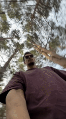 Morning forest walk captured in Krasnoyarsk park