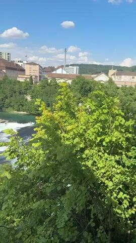 This media file captures a scenic view of the Rhine Falls in Dachsen, Switzerland. The scene unfolds on a bright, sunny day with scattered white clouds in a blue sky, suggesting pleasant weather.

The primary subject is the powerful Rhine Falls, with water cascading over rocky formations, creating white froth and a dynamic display of nature's force. The turquoise water of the river flows around the falls, leading into the broader expanse of the river.

In the background, a town is visible, characterized by a mix of modern buildings and older structures. Some of these buildings appear to be factories or industrial sites, with smokestacks visible in the distance. Green, lush trees and vegetation cover the landscape, particularly along the riverbanks and the hillsides leading up to the town.

The camera perspective suggests the shot is taken from an elevated position, possibly a viewpoint or a hill overlooking the falls and the surrounding area. In the foreground, partially obscuring the view of the falls, is dense green foliage.

A brief glimpse of people is visible at the very end of the clip, with a close-up shot of someone's legs and torso wearing blue patterned pants and a patterned shirt. This suggests people are present to witness the spectacle of the falls.

The overall impression is one of natural beauty combined with a settled, urban environment, bathed in the warm light of a summer day. The sheer volume of water in the falls conveys a sense of power and grandeur. No discernible text is present in the visible portions of the media file.