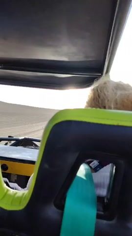 The video, shot from inside a vehicle, shows a person with curly blond hair in the front passenger seat driving across a sandy desert landscape. The sun shines brightly in the distance, partially obscured by the roof of the vehicle. The camera angle is slightly upward, capturing the sky with thin, wispy clouds. The desert stretches out in front, marked with tire tracks, and the vehicle appears to be moving at a moderate speed. The vehicle's frame, including the seats and roll bars, is visible, providing a sense of perspective.
