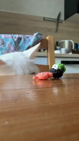 The video shows a white cat peering at a table. On the table are two small toys, one appears to be a black figure with a green helmet and the other is a pink object. The cat looks intently at the toys. The background features a wooden kitchen counter with various items including a kettle and containers. A child's wooden chair with a patterned blanket is visible on the left. A knife is mounted on the wall in the background.