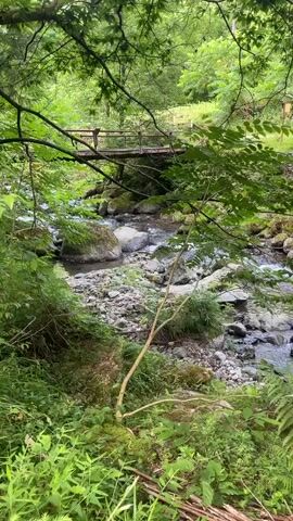 A serene natural scene unfolds with a clear, shallow stream flowing over a rocky bed. Lush green foliage frames the view, with trees and ferns creating a sense of depth and tranquility. In the background, a rustic wooden bridge spans the stream, hinting at a path through this verdant landscape. The overall impression is one of peaceful immersion in nature.