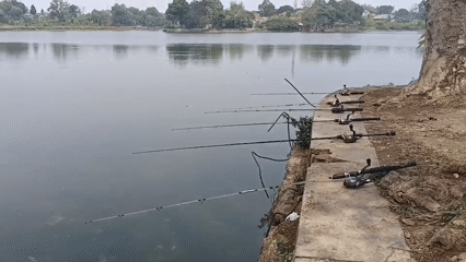Casual fishing morning at a Cibinong pond, bank and raft