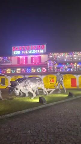 The video shows a nighttime scene outside a building decorated with numerous colorful lights. The building has a sign that reads "SANTO TINHO COR LUZ ALEGRIA". In front of the building, there is a courtyard with a stone-paved pathway. A statue of a person leading a pair of oxen pulling a plow is prominently displayed in the courtyard, along with another statue of a man's bust. The courtyard is illuminated by yellow and pink lights. The building itself also has lights on its facade and balcony. The overall atmosphere appears festive and decorative.