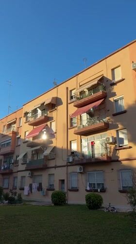 Valencia resident documents quiet neighborhood moments on spring afternoon
