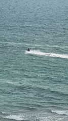 Coastal recreation and wildlife observed in Netanya waterfront
