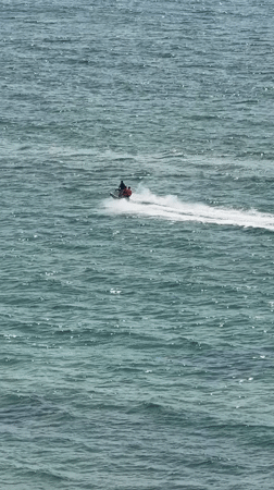 Coastal recreation and wildlife observed in Netanya waterfront