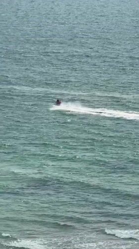 Coastal recreation and wildlife observed in Netanya waterfront