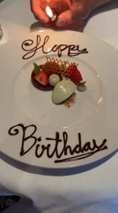 Birthday dinner out in The Hague, dress and dessert included