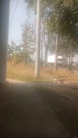 The video shows a roadside scene with a white truck parked on the right. Trees and dry grass are visible. A utility pole stands in the center of the frame. The ground in the foreground is paved. The lighting suggests it is daytime.