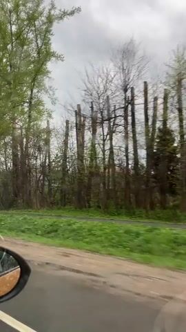 The video is shot from inside a vehicle moving along a road. The camera is positioned behind the driver's side mirror, capturing the side view. The road is paved and appears wet. On the right side of the road is a grassy verge, bordered by a dense line of trees. Some of the trees are filled with green leaves, while others are bare. There is a "No Overtaking" road sign visible. The sky is overcast. Raindrops are visible on the car window. The overall impression is a rural or suburban scene during a rainy day.