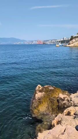 A vertical video begins showing a rocky coastline with clear blue water. In the foreground, a large, moss-covered rock sits at the edge of the water. The water gently laps against the shore. In the middle ground, the sea stretches out towards a distant coastline. A city skyline is visible, with buildings and what appear to be industrial cranes. The sky is clear and blue with a few wispy clouds. The video is shot on a sunny day, suggesting warm weather. The overall impression is of a peaceful, scenic coastal view. The video is approximately 4 seconds long.