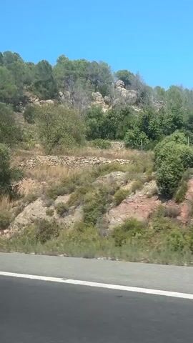 The video is a horizontal shot of a rocky hillside covered in sparse vegetation and trees. The sky is clear and blue. A road runs along the bottom of the frame, with a white line marking its edge. The camera appears to be moving, as the landscape shifts from left to right. There are no people or animals visible.