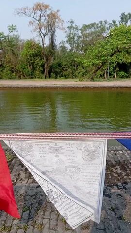 The camera is positioned low to the ground, near a body of water, likely a pond or a lake. A string of prayer flags in white, blue, and yellow hangs in the foreground, partially obscuring the view. The flags appear to be made of fabric, with intricate designs and script printed on them. The pond water is green, and its surface is slightly rippled, reflecting the sky and the surrounding trees. 

Across the pond, a paved walkway runs along the edge. Beyond the walkway, there's a dense line of trees and shrubs, forming a natural barrier. Streetlights are visible at intervals along the walkway. In the far distance, a gazebo with a red roof can be seen. The sky is pale blue, suggesting it's either morning or late afternoon.