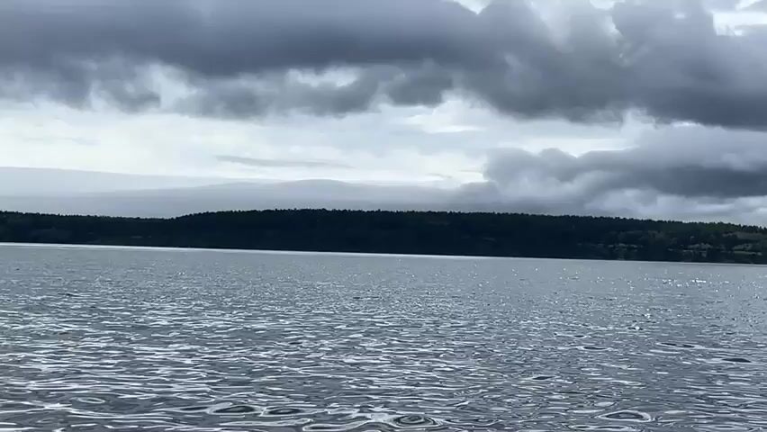The video shows a wide shot of a body of water. The water appears calm, with small ripples on the surface. In the distance, a tree-lined shore is visible, dotted with some buildings. Above the shore, dramatic, dark clouds fill the sky, with some patches of lighter sky breaking through. The overall impression is one of a somewhat overcast day with a scenic, natural landscape.