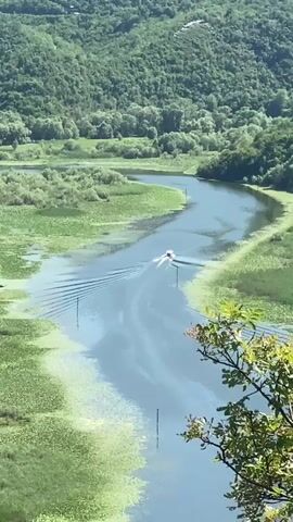 A medium-length shot shows a blue river with a white boat moving away from the camera in the center, causing ripples in the water. The river is surrounded by lush green foliage and hills in the background. In the foreground, a tree branch extends from the bottom right corner.