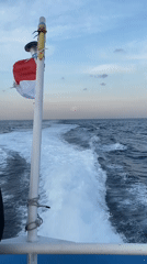 Tour boat with passengers cruises Indonesian waters