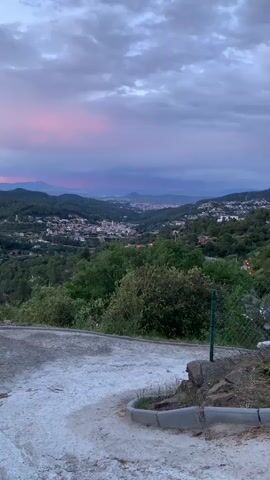 The video shows a dog running on a concrete surface with a view of a town nestled in a valley with mountains in the background under a partly cloudy sky at dusk or dawn. The dog, small and white, runs from right to left across the foreground. A chain-link fence is to the right of the frame. The concrete surface appears to be a small road or overlook. The landscape beyond includes a town, surrounded by lush greenery and forested hills. In the distance, a range of mountains is silhouetted against the sky, where the clouds are tinged with pink and orange hues, indicating either sunrise or sunset.