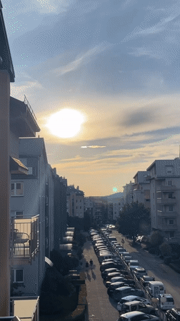 Golden hour rooftop views and a grey cat at home