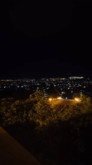 Cat walks through illuminated city area at night