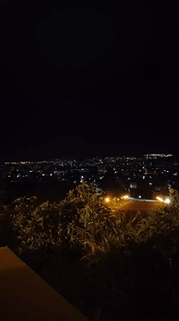 Cat walks through illuminated city area at night