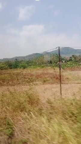 The video shows a landscape view from a moving vehicle. The scene features dry, golden grass in the foreground, with patches of green vegetation. In the middle ground, there are trees, bushes, and some houses with red roofs. Beyond that, rolling hills covered in trees dominate the background. The sky is partly cloudy, with a bright white circle appearing intermittently at the top of the frame, possibly a lens flare or reflection. The perspective suggests the camera is panning or moving horizontally, indicated by the motion blur in the vegetation. A white marker post with the number "4" is visible in the bottom left corner of the frame in one segment. Electrical poles and wires are also present in the scene.