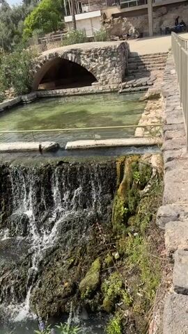 The video pans across an outdoor scene featuring a flowing body of water. In the foreground, a waterfall cascades over moss-covered rocks into a clear, shallow stream. The stream, teeming with small fish, flows from right to left. Adjacent to the stream is a stone-lined channel where water appears to be directed. Further back, a larger pool of water is visible, with a stone archway constructed over it. The surrounding environment is lush and green, with trees and vegetation on either side of the water features. In the distance, there are some stone structures and steps. A metal railing runs along the edge of the upper pool. The lighting suggests it is daytime.