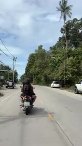 The video depicts two individuals riding a motorcycle down a paved road. The rider, obscured from view, has a large backpack. A second motorcycle, ridden by a person in a red shirt, overtakes the first. The road is flanked by lush green vegetation, power lines, and street lights. There are parked cars on the side of the road. The sky is partly cloudy. The perspective is from behind the first motorcycle, giving the viewer the impression of following it.